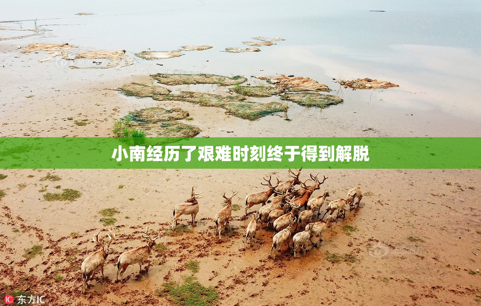 小南经历了艰难时刻终于得到解脱
