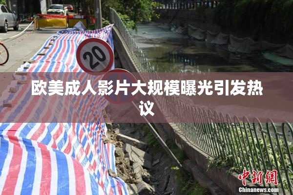 欧美成人影片大规模曝光引发热议