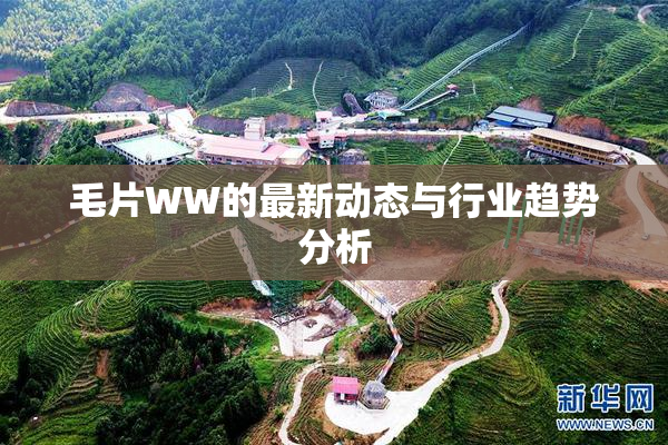 毛片WW的最新动态与行业趋势分析
