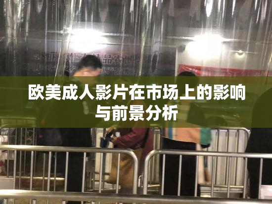 欧美成人影片在市场上的影响与前景分析