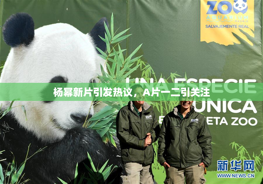 杨幂新片引发热议，A片一二引关注