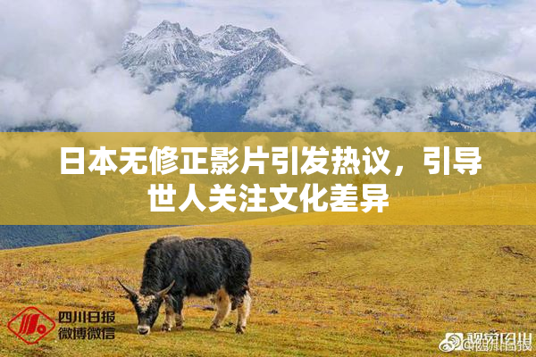 日本无修正影片引发热议，引导世人关注文化差异
