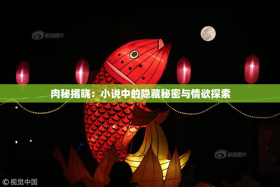 肉秘揭晓：小说中的隐藏秘密与情欲探索