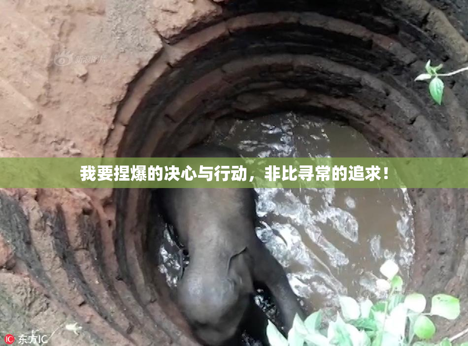 我要捏爆的决心与行动，非比寻常的追求！
