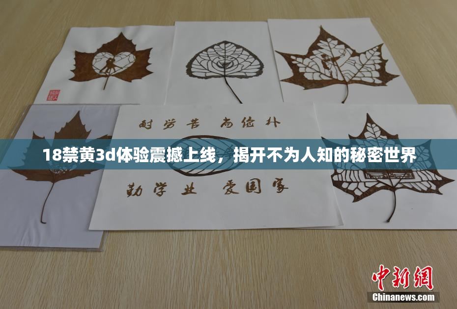 18禁黄3d体验震撼上线，揭开不为人知的秘密世界