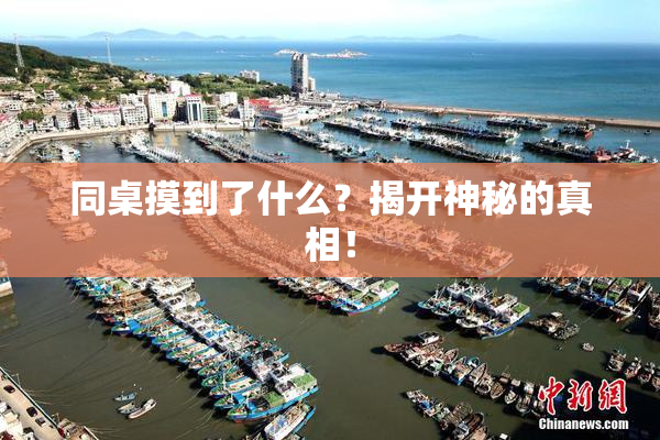 同桌摸到了什么？揭开神秘的真相！