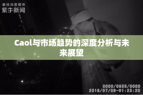 Caol与市场趋势的深度分析与未来展望
