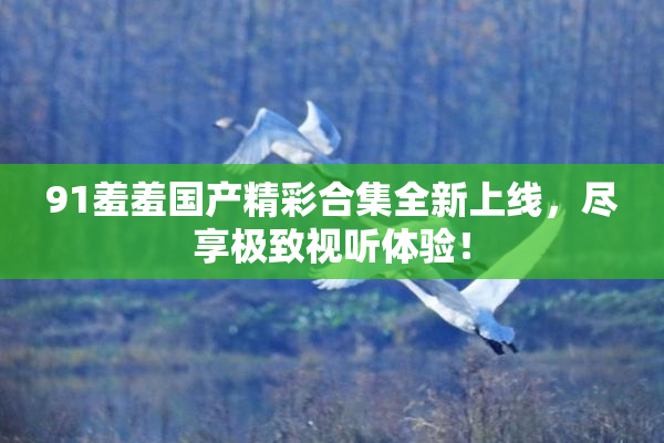 91羞羞国产精彩合集全新上线，尽享极致视听体验！