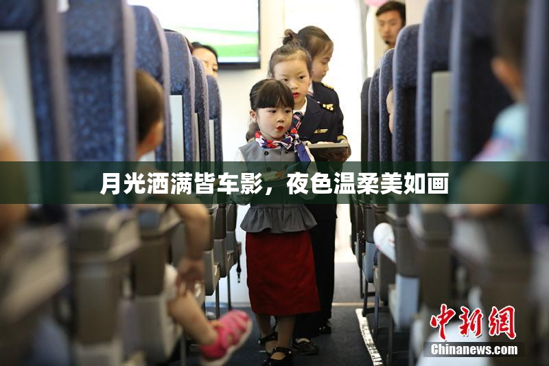 月光洒满皆车影，夜色温柔美如画