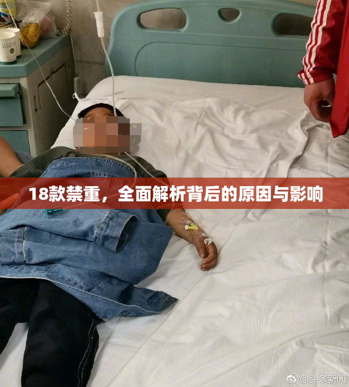 18款禁重，全面解析背后的原因与影响