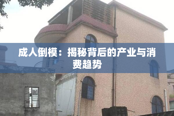 成人倒模：揭秘背后的产业与消费趋势