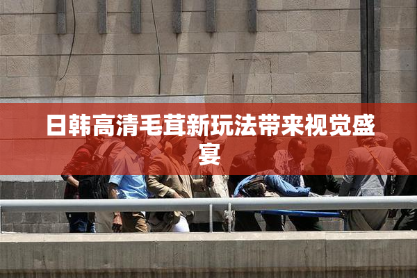 日韩高清毛茸新玩法带来视觉盛宴