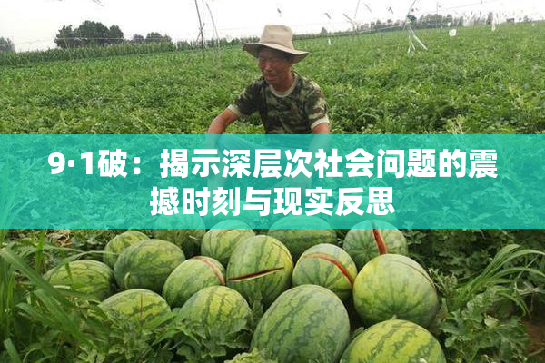 9·1破：揭示深层次社会问题的震撼时刻与现实反思