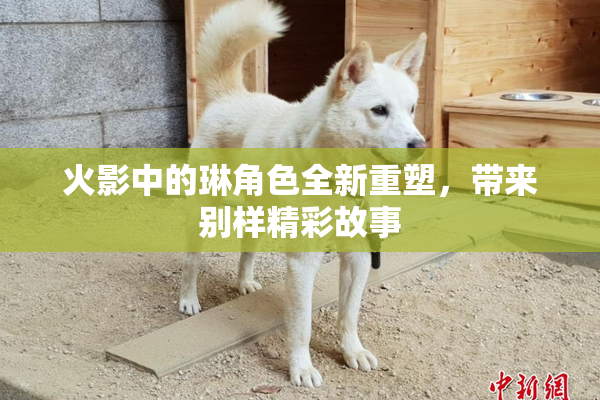 火影中的琳角色全新重塑，带来别样精彩故事