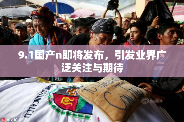 9.1国产n即将发布，引发业界广泛关注与期待