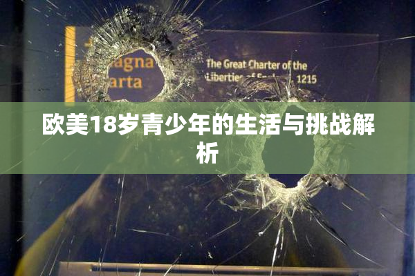 欧美18岁青少年的生活与挑战解析