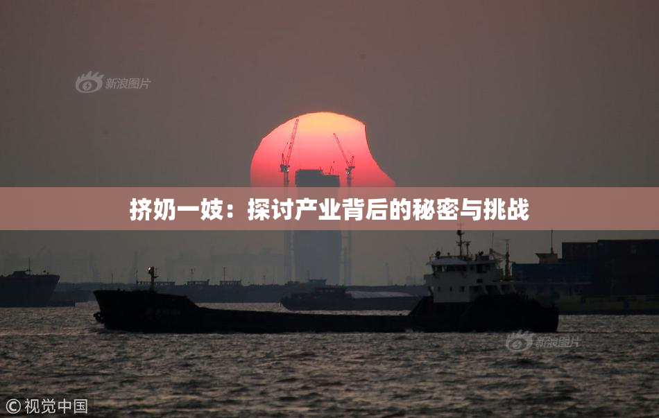 挤奶一妓：探讨产业背后的秘密与挑战