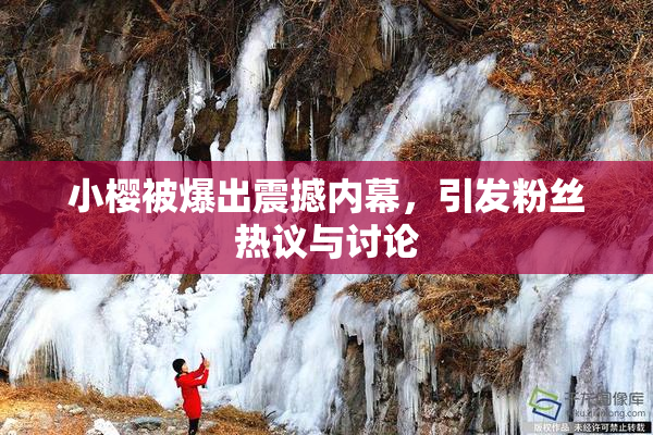 小樱被爆出震撼内幕，引发粉丝热议与讨论