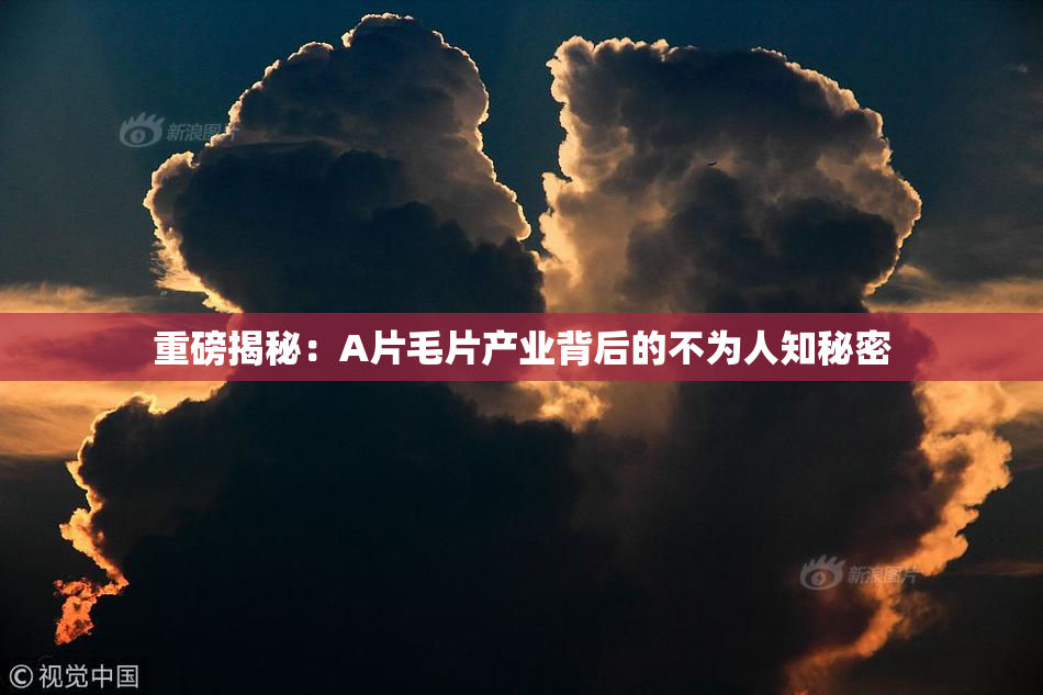 重磅揭秘：A片毛片产业背后的不为人知秘密
