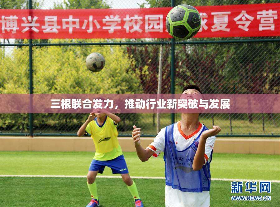 三根联合发力，推动行业新突破与发展