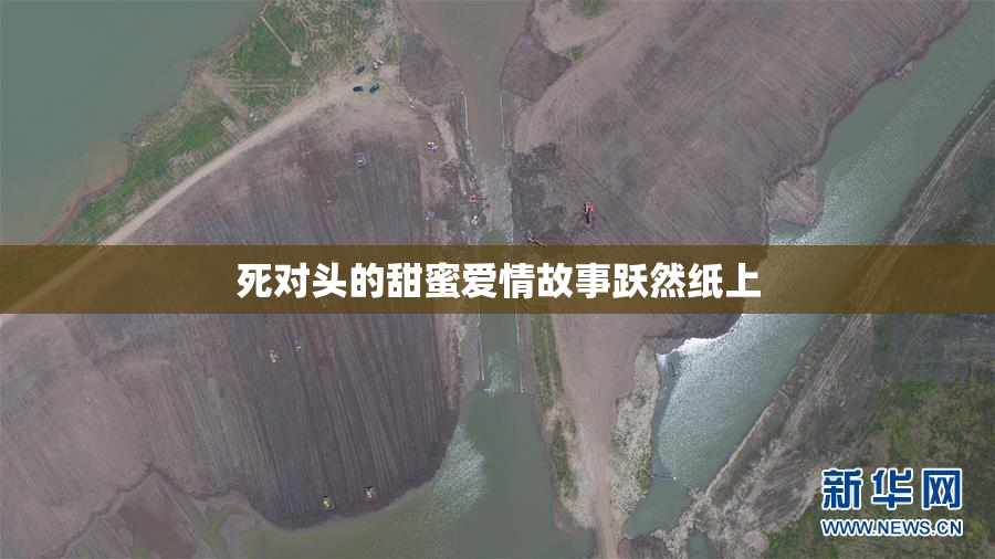 死对头的甜蜜爱情故事跃然纸上