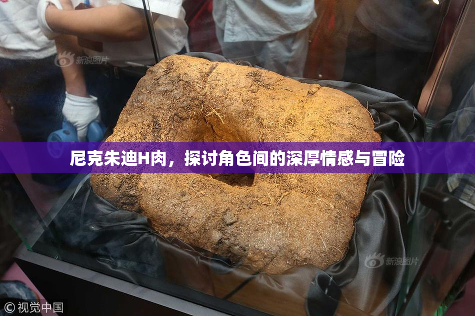 尼克朱迪H肉，探讨角色间的深厚情感与冒险