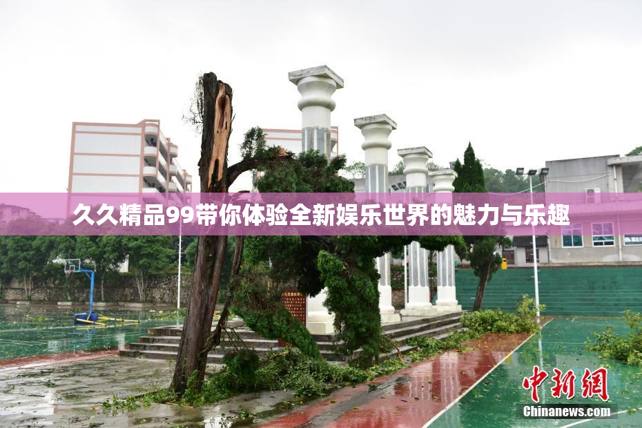 久久精品99带你体验全新娱乐世界的魅力与乐趣