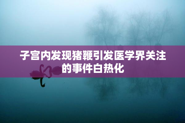 子宫内发现猪鞭引发医学界关注的事件白热化