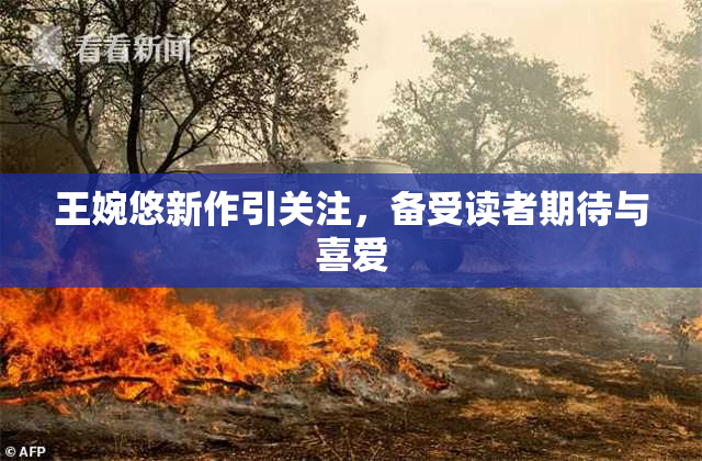 王婉悠新作引关注，备受读者期待与喜爱
