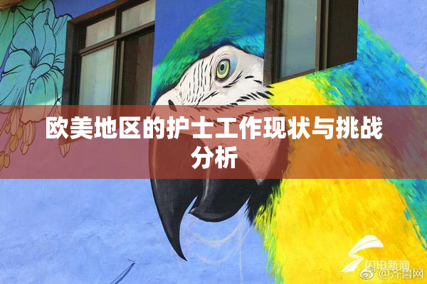 欧美地区的护士工作现状与挑战分析