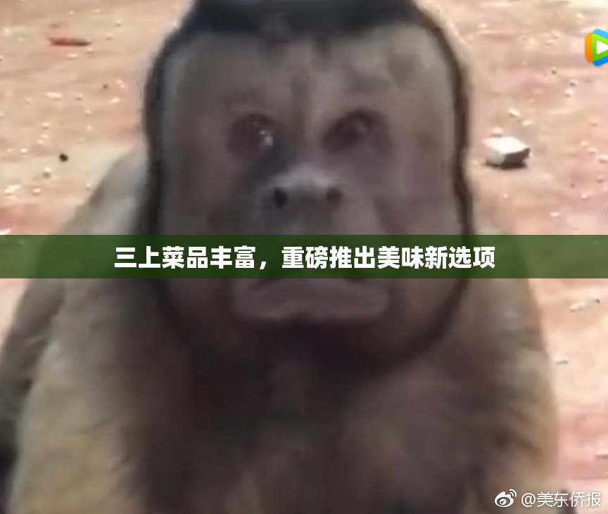 三上菜品丰富，重磅推出美味新选项