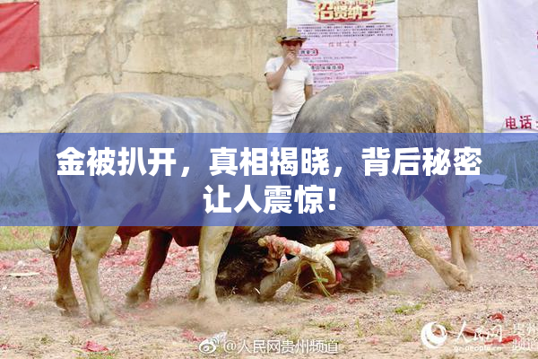 金被扒开，真相揭晓，背后秘密让人震惊！