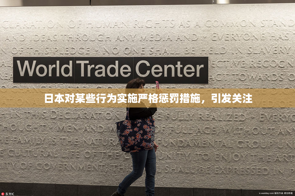 日本对某些行为实施严格惩罚措施，引发关注