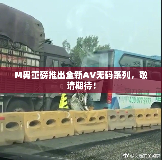 M男重磅推出全新AV无码系列，敬请期待！