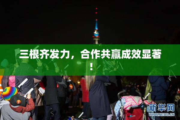 三根齐发力，合作共赢成效显著！
