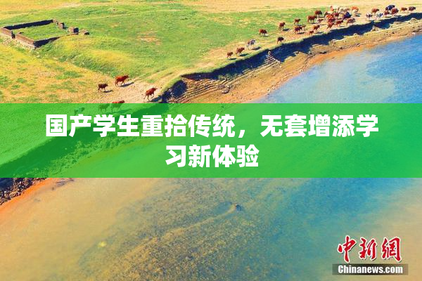 国产学生重拾传统，无套增添学习新体验