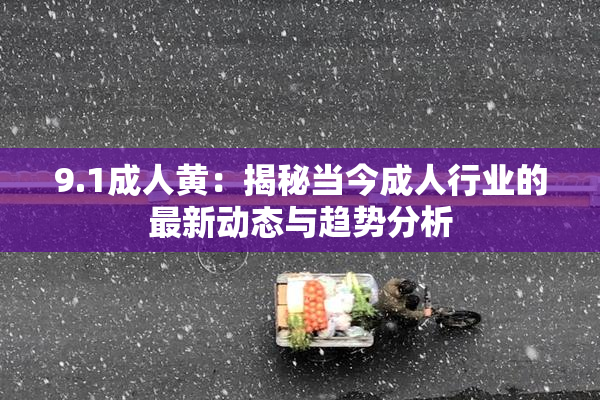 9.1成人黄：揭秘当今成人行业的最新动态与趋势分析