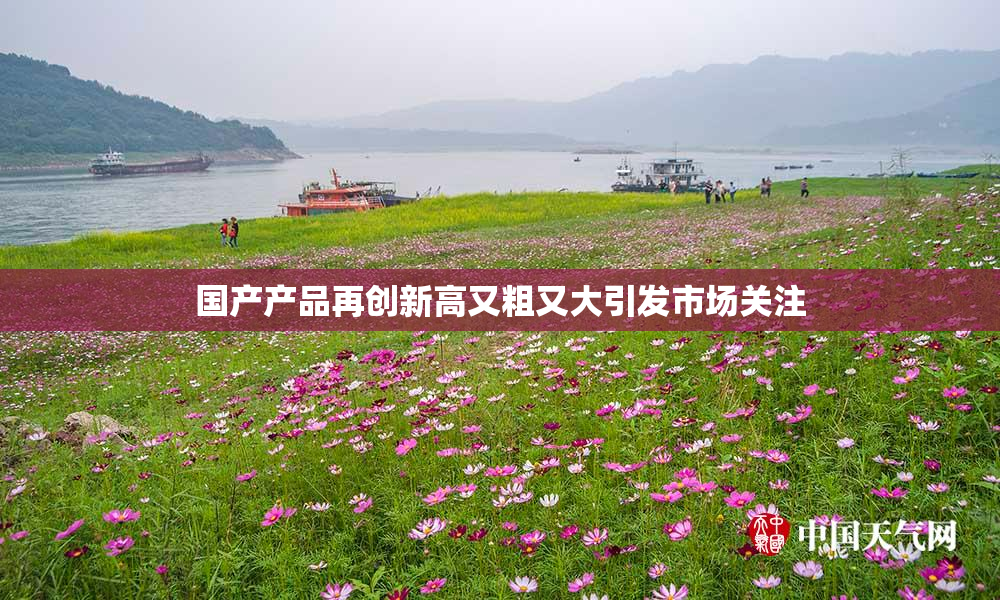 国产产品再创新高又粗又大引发市场关注