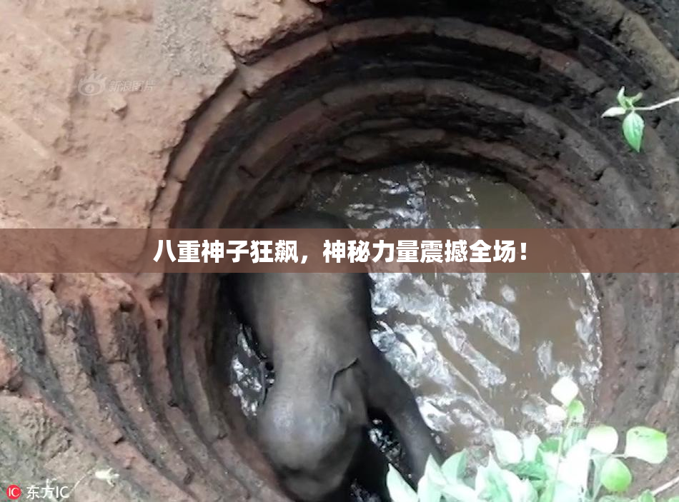 八重神子狂飙，神秘力量震撼全场！