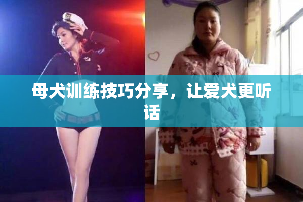 母犬训练技巧分享，让爱犬更听话