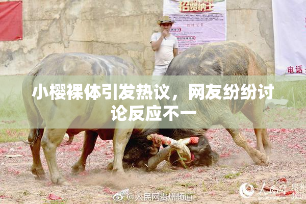 小樱裸体引发热议，网友纷纷讨论反应不一