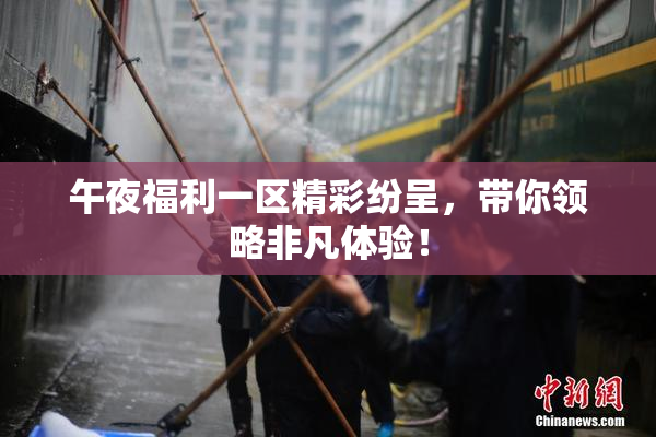 午夜福利一区精彩纷呈，带你领略非凡体验！