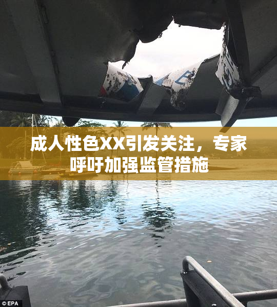 成人性色XX引发关注，专家呼吁加强监管措施