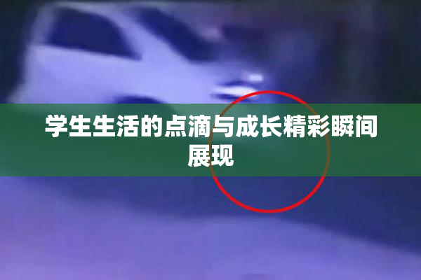 学生生活的点滴与成长精彩瞬间展现