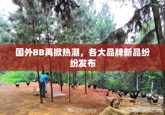 国外BB再掀热潮，各大品牌新品纷纷发布