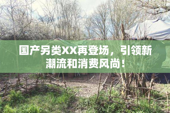 国产另类XX再登场，引领新潮流和消费风尚！
