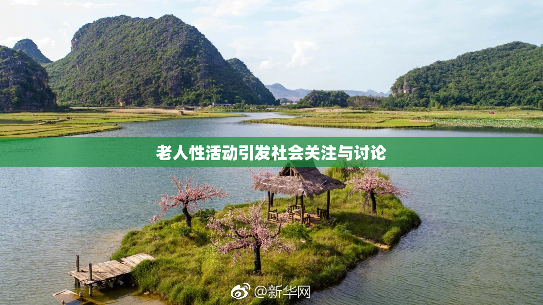 老人性活动引发社会关注与讨论