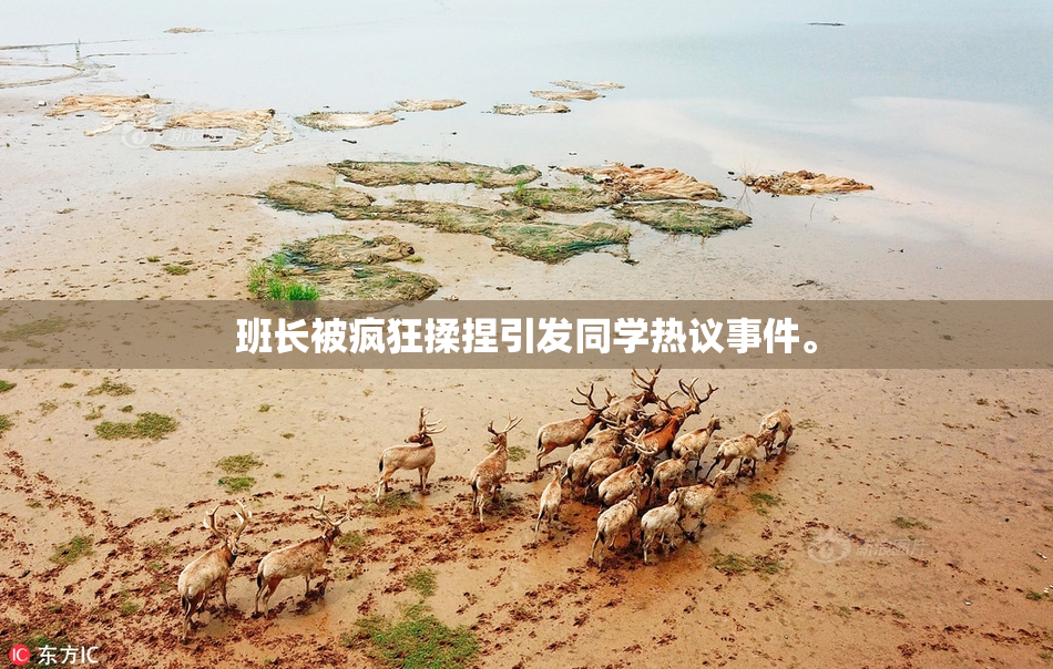 班长被疯狂揉捏引发同学热议事件。