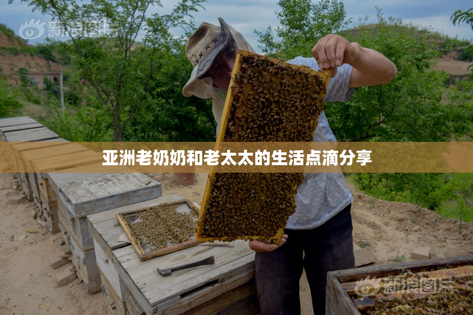 亚洲老奶奶和老太太的生活点滴分享