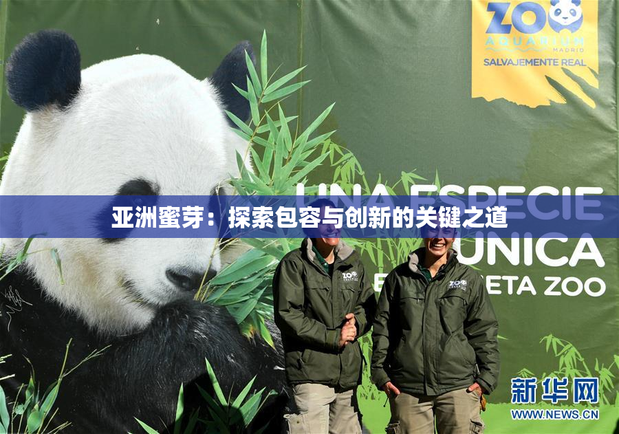 亚洲蜜芽：探索包容与创新的关键之道